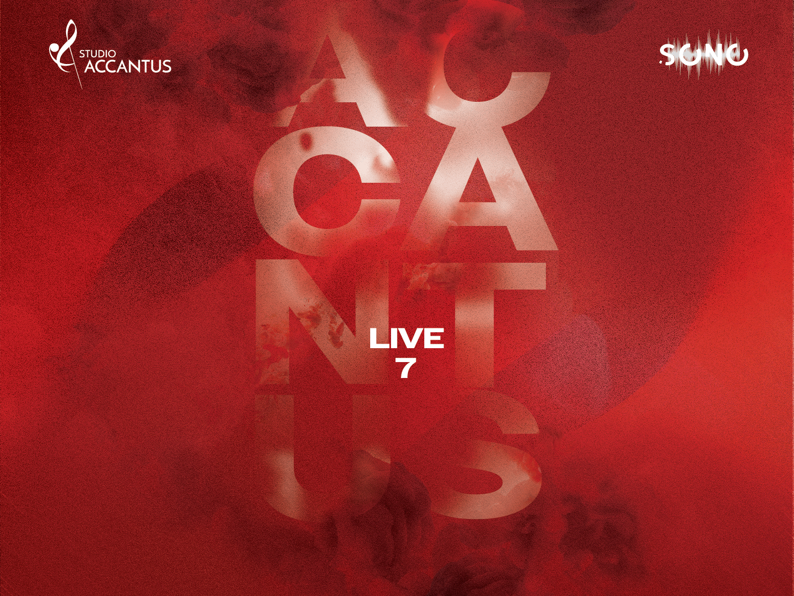 Accantus Live 7